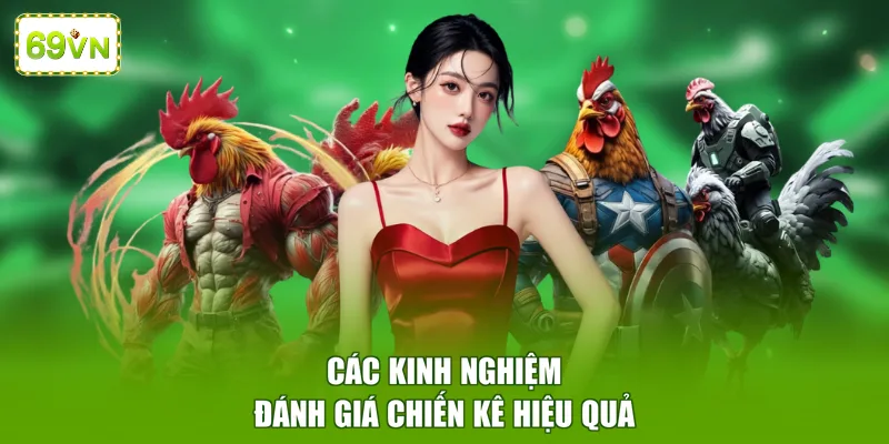 Các kinh nghiệm đánh giá chiến kê hiệu quả