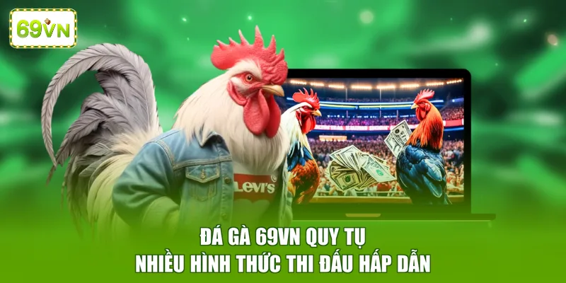 Đá gà 69VN quy tụ nhiều hình thức thi đấu hấp dẫn