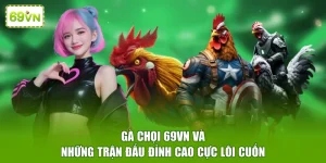 Gà chọi
