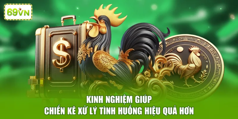 Kinh nghiệm giúp chiến kê xử lý tình huống hiệu quả hơn